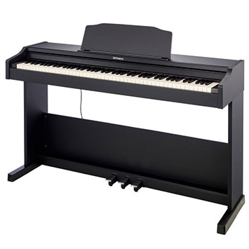 Roland RP-102 (Entry level)