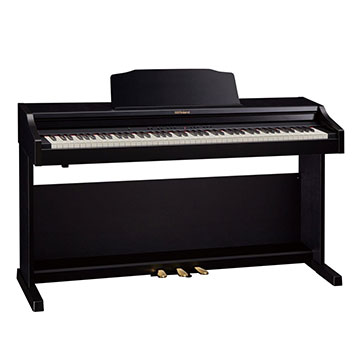 Roland RP-302 (Entry level)