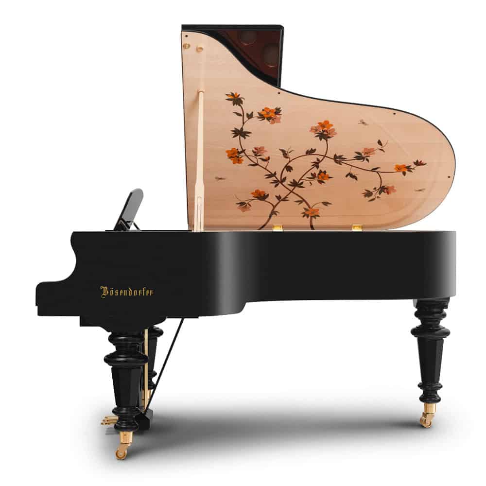 Bösendorfer Dragonfly (Chuyên nghiệp)