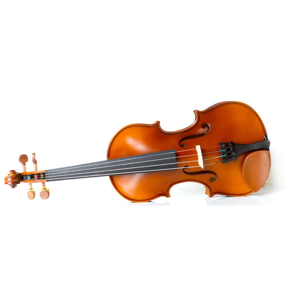 Bauhinia Musik Haus RC – V140 (Entry level)
