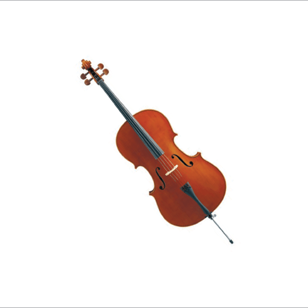 Bauhinia Musik Haus RC – V140 (Entry level)
